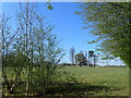 Field edge seen from Langleybury Lane in WD4 8RN