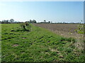 Footpath to Carlton le Moorland in Carlton-le-Moorland