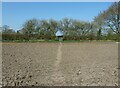 Footpath across a prepared field in Carlton-le-Moorland