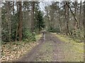 Track on Hawley Common in GU14 9LL