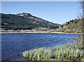Eastern shore of Loch Lubnaig in FK18 8NJ