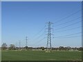 Line of pylons in SY4 2JE