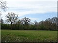 Grazing and woodland near Highworth Farm in RH6 0EP