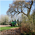 Oak tree and tractor near Rudge in Shropshire in WV6 7EB