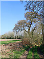 Bridleway and farmland near Rudge in Shropshire in WV6 7EB