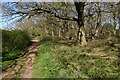 Bridleway past Sandy Heath in SG19 2NH