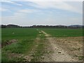 Footpath over field to Gadbrook in RH3 7AQ