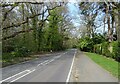 Wilmerhatch Lane towards Epsom in KT18 7BZ