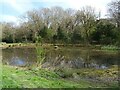 Pond, Woodcote Millennium Green in KT18 7BZ