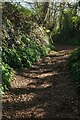Footpath from Chiseldon Hill in TQ5 9FU