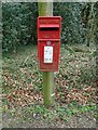 Elizabeth II postbox on Broad Lane, Parkgate in RH2 8QE