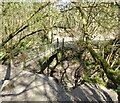Footbridge, Coggins Mill Stream in TN20 6TY