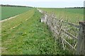 Footpath towards Doles Farm in SP11 0TR