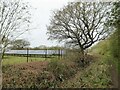 Solar panels by Glazebury Water Treatment Works in Fowley Common