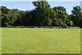 Playing field, Peaslake in GU5 9QW