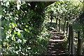 Wooded footpath in GU5 9SL