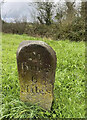 Old Milestone by the A381, Two Mile Oak Cross in TQ12 6DE