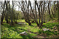 Approaching the ford on the path through South Arcan Wood in IV6 7UL