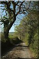 Lane to Honeycombe Farm in TQ13 0EL