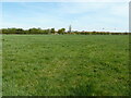 Grass field off Old Brickkiln Lane, Bassingham in Bassingham