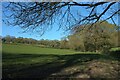 Field near Mistletoe Farm in TQ13 0DQ
