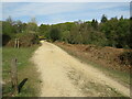Track in the New Forest, near Ringwood in BH24 3LF