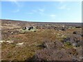 Grouse butts near Hare Hill in SK15 3QQ