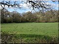 Grazing and woodland off Cross Oak Lane in RH1 5EQ