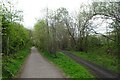 Cycle path approaching Everill Gate Lane in S73 0RN