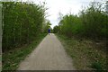 Cycle path beside RSPB Old Moor in S63 6DE