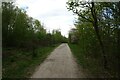 Path to the south of RSPB Old Moor in S63 6DE