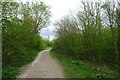 Cycle path on the south side of Dearne Road in S63 5DB