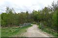 NCN62 crossing a stream near Dearne Road in S63 5DB