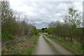 Cycle path to the south of RSPB Adwick Washland in S63 8JE