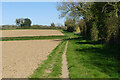 Farmland, Winterborne Kingston in DT11 9HD
