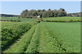 Bridleway and farmland, Bryanston in DT11 9FL