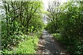 Path along the former Dearne Valley Railway in DN5 7TF