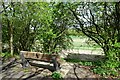 Bench along the former Dearne Valley Railway in DN5 7TF