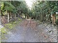 Bridleway to Epsom Road in GU4 8WA