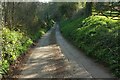 Lane to Harbertonford in TQ9 7EF