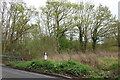 Woodland by Park Farm Road, Corbets Tey in RM14 2XU