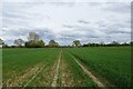 Bridleway crossing farmland south of Mill Dike in DN6 0ED