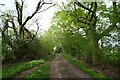 Track south of Brick Kiln Lane in Norton & Askern Ward