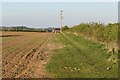 Field edge at Dodford Lodge Farm in NN7 4SZ