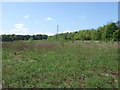 Power lines crossing barren ground at Pitfodels in AB15 9RX
