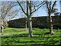 Disused railway bridge, grass and trees in TR5 0AX