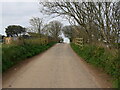 A country lane over the railway bridge, St Agnes in TR5 0AX