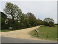 Track at North Weirs, Brockenhurst in SO42 7QZ
