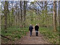 Walkers in the West Woods in SN8 4EG