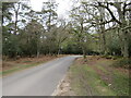 Rhinefield Road, near Brockenhurst in SO42 7QB
